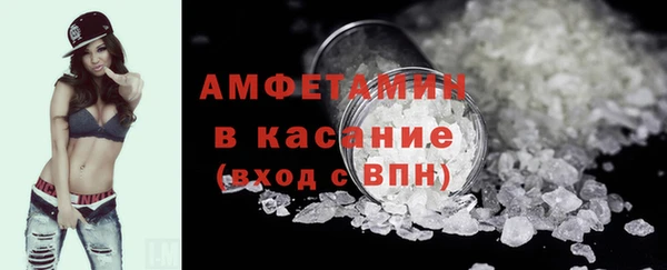 прущие грибы Пересвет