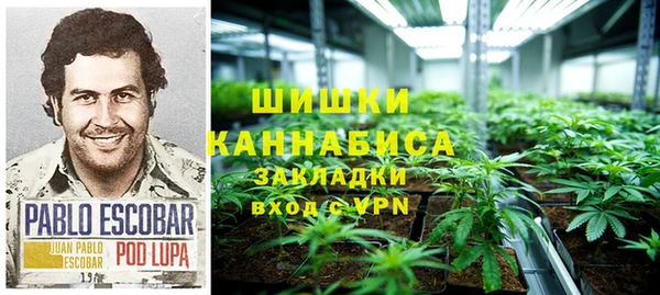 PSILOCYBIN Алексеевка