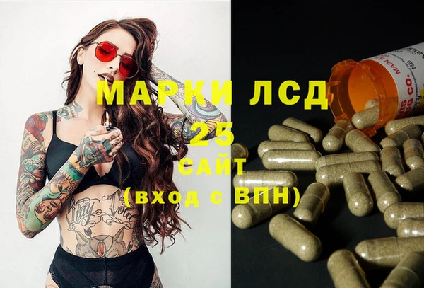гашик Алзамай