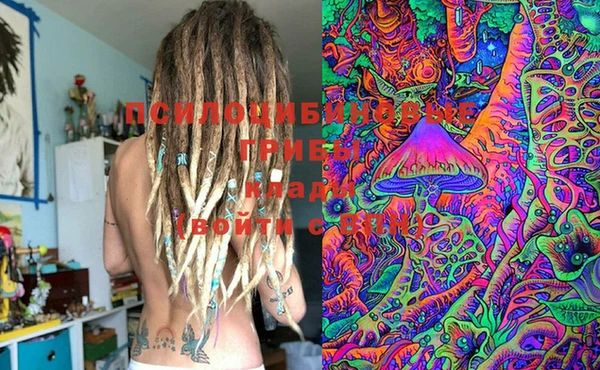 PSILOCYBIN Алексеевка